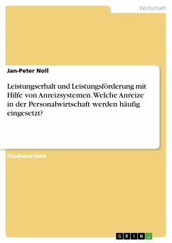 Leistungserhalt und Leistungsförderung mit Hilfe von Anreizsystemen. Welche Anreize in der Personalwirtschaft werden häufig eingesetzt? (eBook, PDF)