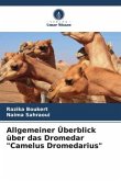 Allgemeiner Überblick über das Dromedar "Camelus Dromedarius"