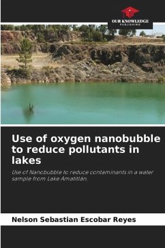 Use of oxygen nanobubble to reduce pollutants in lakes - Escobar Reyes, Nelson Sebastian