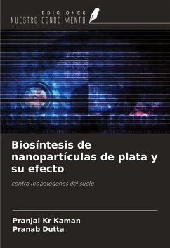 Cover Biosíntesis de nanopartículas de plata y su efecto