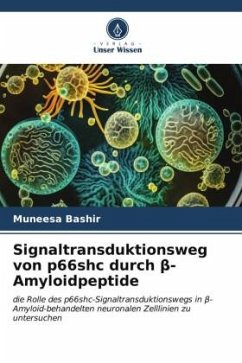 Signaltransduktionsweg von p66shc durch ¿-Amyloidpeptide - Bashir, Muneesa