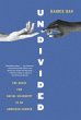 Undivided (eBook, ePUB) - Bild 1
