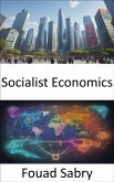 Socialist Economics (eBook, ePUB)