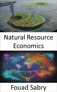 Natural Resource Economics (eBook, ePUB) - Sabry, Fouad