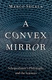 A Convex Mirror (eBook, ePUB)
