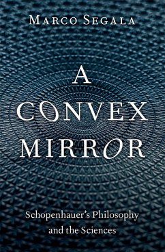 Cover A Convex Mirror (eBook, PDF)