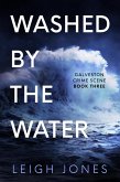 Washed By The Water (Galveston Crime Scene, #3) (eBook, ePUB)