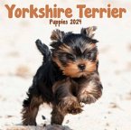 Yorkshire Terrier Puppies 2024 Calendar