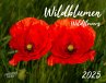 Wildblumen 2025 Großformat-Kalender 58... - Bild 1