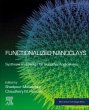Functionalized Nanoclays - Bild 1