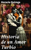 Historia de un Amor Turbio (eBook, ePUB)