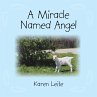 A Miracle Named Angel (eBook, ePUB) - Bild 1