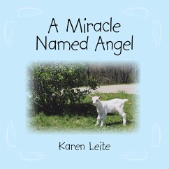 A Miracle Named Angel (eBook, ePUB)