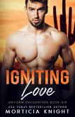 Igniting Love (Uniform Encounters, #6) (eBook, ePUB)