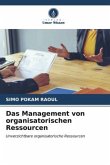 Das Management von organisatorischen Ressourcen