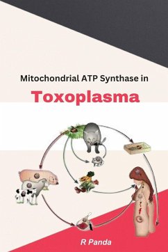 Mitochondrial ATP Synthase In Toxoplasma - Panda, R.