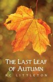 The Last Leaf of Autumn