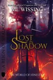 Lost in Shadow