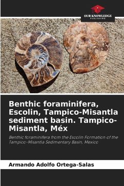 Benthic foraminifera, Escolin, Tampico-Misantla sediment basin. Tampico-Misantla, Méx - Ortega-Salas, Armando Adolfo