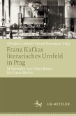 Franz Kafkas literarisches Umfeld in Prag (eBook, PDF)