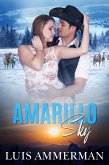 Amarillo Sky (eBook, ePUB) Amarillo Sky (eBook, ePUB)