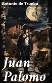 Juan Palomo (eBook, ePUB)