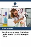 Bestimmung von Ehrlichia canis in der Stadt Iquique, Chile