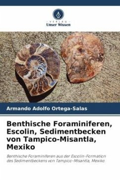 Benthische Foraminiferen, Escolin, Sedimentbecken von Tampico-Misantla, Mexiko - Ortega-Salas, Armando Adolfo