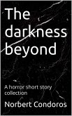 The Darkness Beyond (eBook, ePUB)