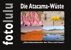 Die Atacama-Wüste (eBook, ePUB)