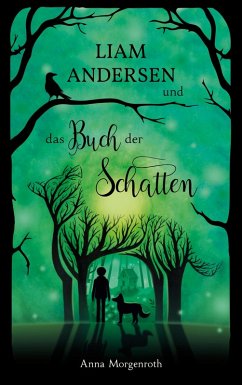 Liam Andersen und das Buch der Schatten (eBook, ePUB)