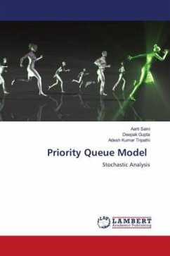 Priority Queue Model