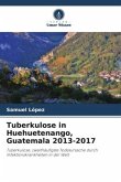 Tuberkulose in Huehuetenango, Guatemala 2013-2017