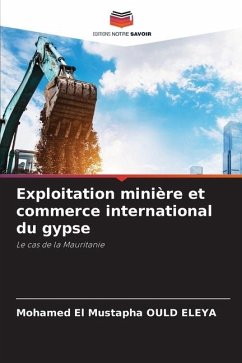 Exploitation minière et commerce international du gypse - OULD ELEYA, Mohamed El Mustapha