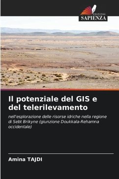 Il potenziale del GIS e del telerilevamento - TAJDI, Amina