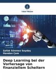 Deep Learning bei der Vorhersage von finanziellem Scheitern