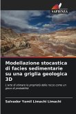 Modellazione stocastica di facies sedimentarie su una griglia geologica 3D