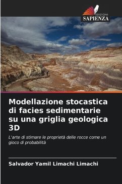 Modellazione stocastica di facies sedimentarie su una griglia geologica 3D - Limachi Limachi, Salvador Yamil