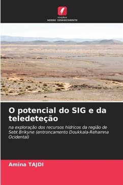 O potencial do SIG e da teledeteção - TAJDI, Amina