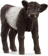 Schleich 13969 - Farm World, Galloway... - Bild 1