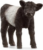 Schleich 13969 - Farm World, Galloway Kalb, Tierfigur, Länge: 8,3 cm