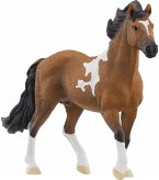 Schleich 13978 - Horse Club, Mangalarga Marchador Hengst, Pferd, braun-weiß, Höhe: 11,3 cm