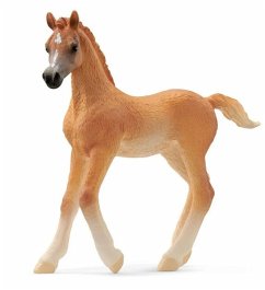Image of Horse Club Araber Fohlen, Spielfigur