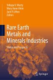 Rare Earth Metals and Minerals Industries (eBook, PDF)