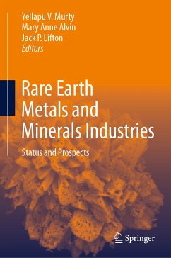 Rare Earth Metals and Minerals Industries (eBook, PDF)