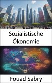 Sozialistische Ökonomie (eBook, ePUB)