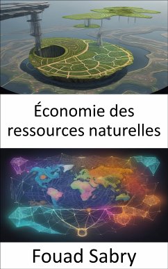 Économie des ressources naturelles (eBook, ePUB) - Sabry, Fouad