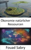 Ökonomie natürlicher Ressourcen (eBook, ePUB)