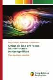 Ondas de Spin em redes bidimensionais ferromagnéticas