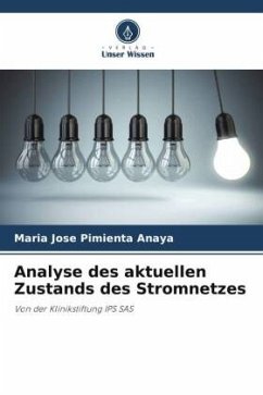 Analyse des aktuellen Zustands des Stromnetzes - Pimienta Anaya, Maria Jose